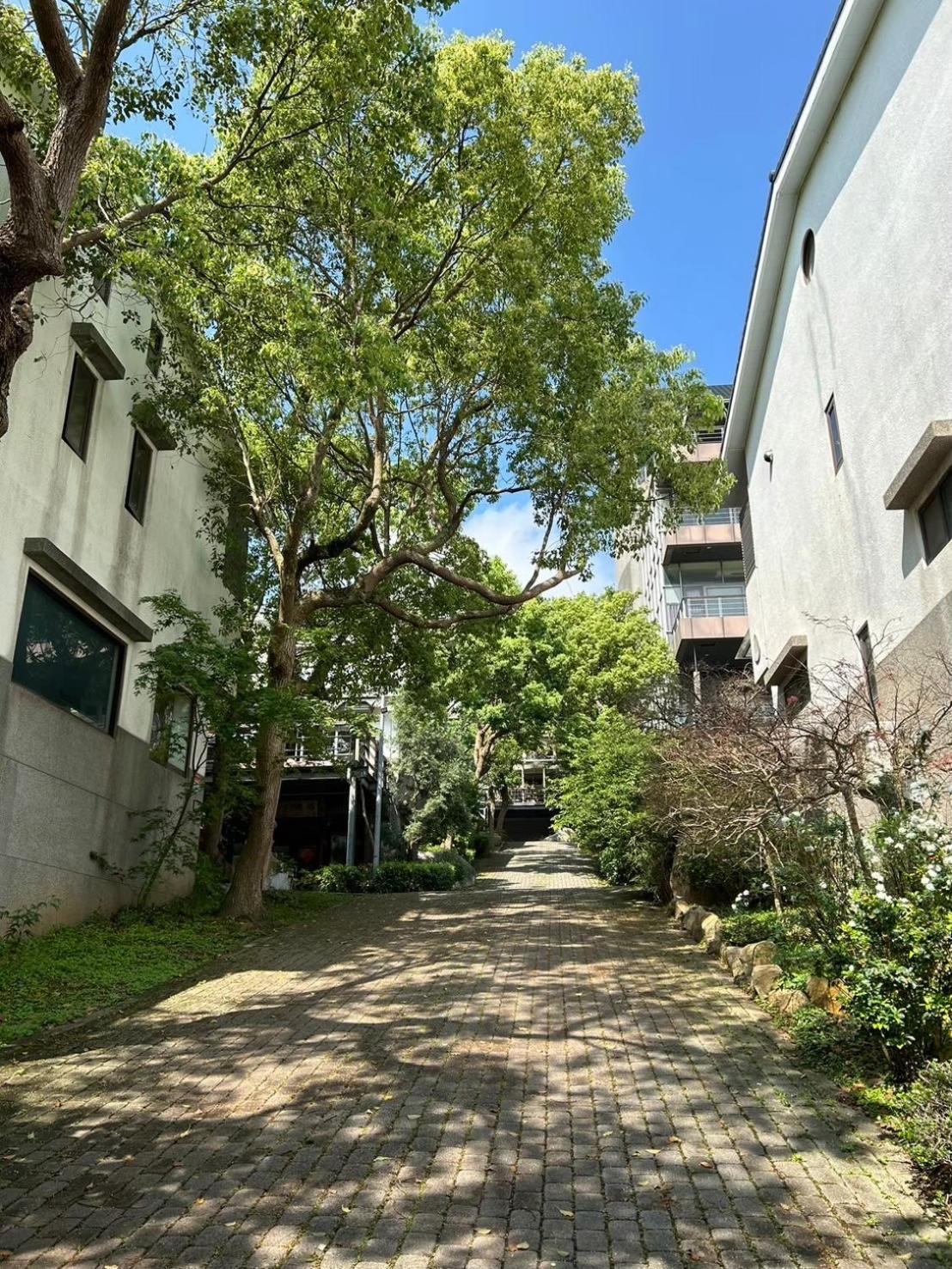 Miaoli Sanyi Travelling Homestay Buitenkant foto