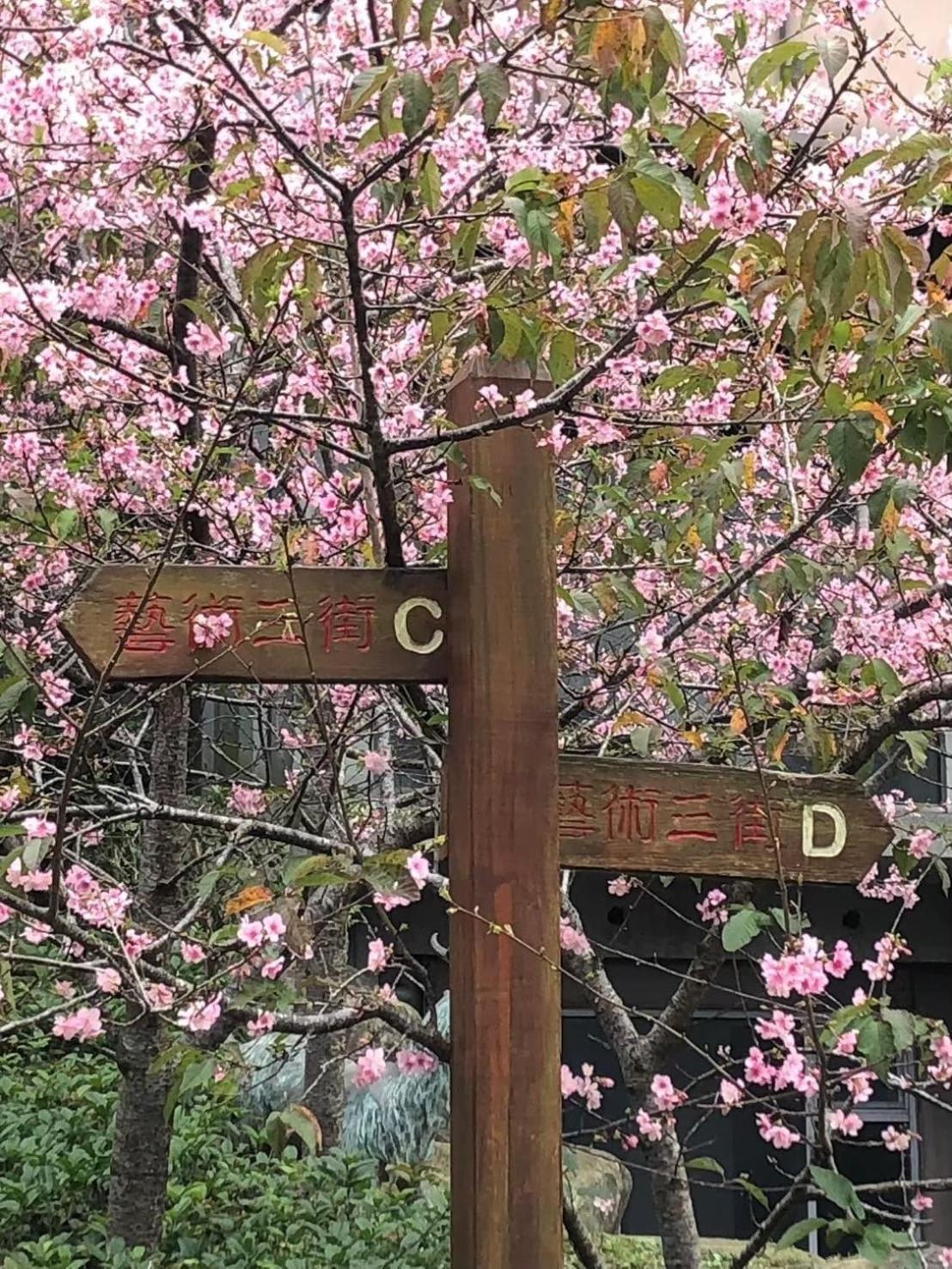 Miaoli Sanyi Travelling Homestay Buitenkant foto